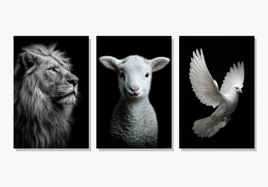Divina Trinidad — Set de 3 Cuadros Cristianos - Triptico
